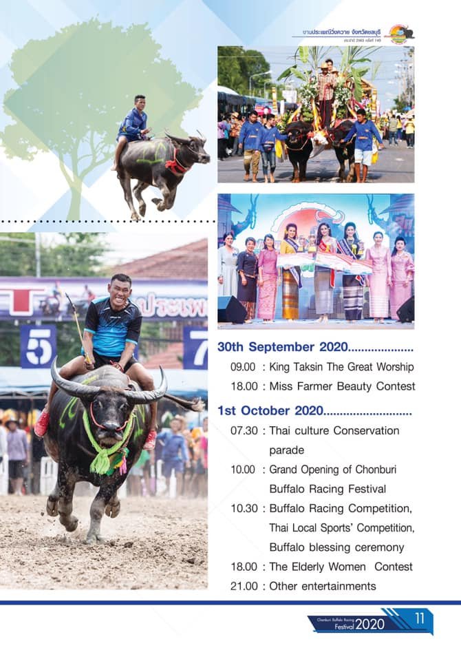 1371818456_Buffalorace-f.jpg.ded72bb7c111ff6ada193c14effdcd12.jpg