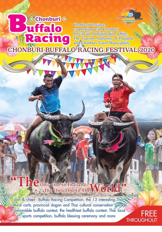 1419485635_Buffalorace-e.jpg.90616636b8d9bbefbdeb524320612a17.jpg