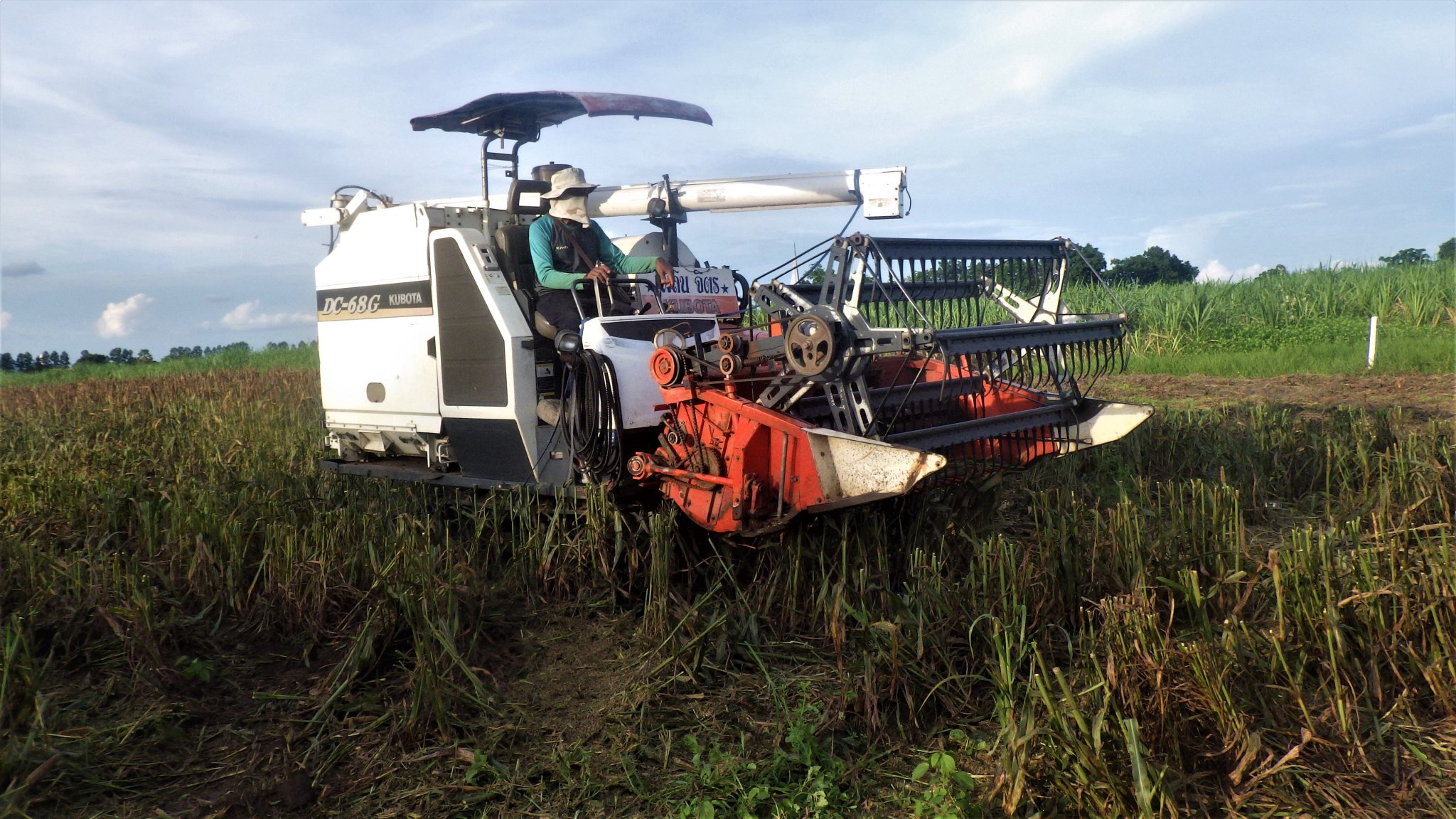 RIMG1550 (2).JPG