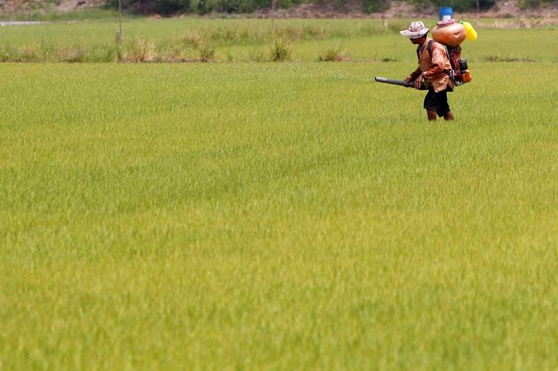 2020-09-17T023626Z_3_LYNXMPEG8G03S_RTROPTP_4_THAILAND-USA-TRADE.JPG