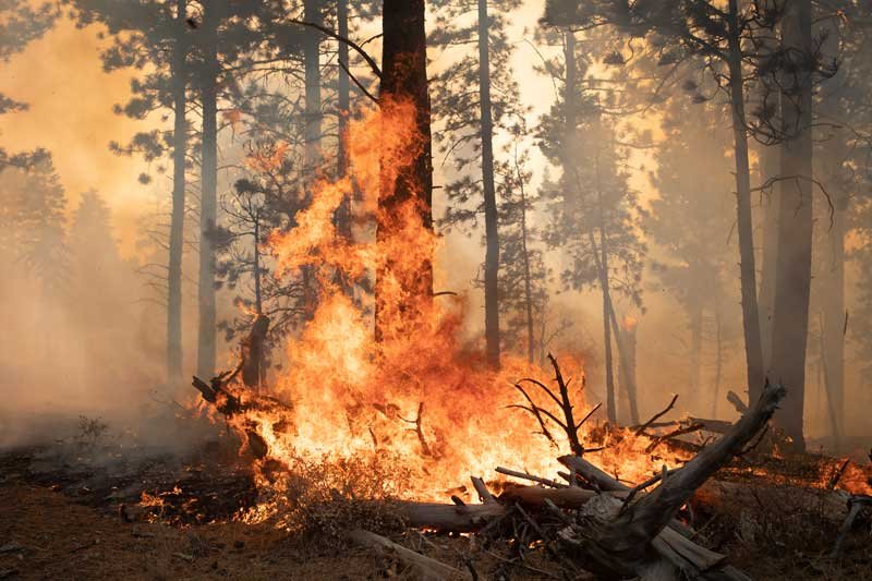2020-09-20T221543Z_1_LYNXNPEG8J0OT_RTROPTP_4_USA-WILDFIRES-OREGON.JPG