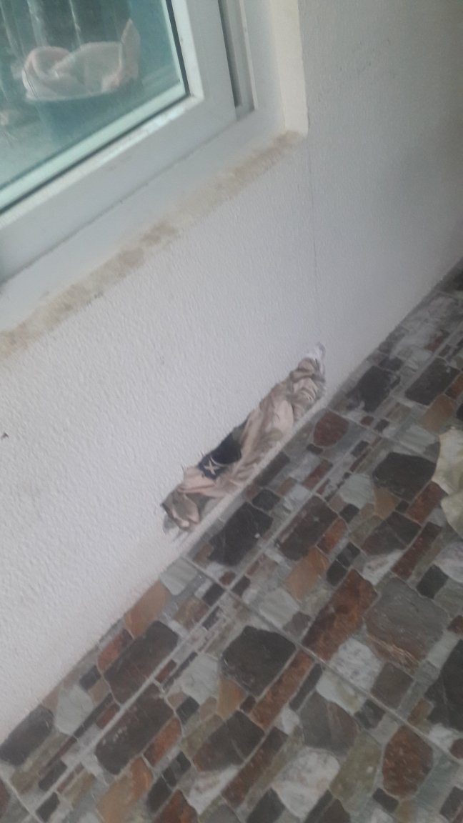20200918_094711.jpg