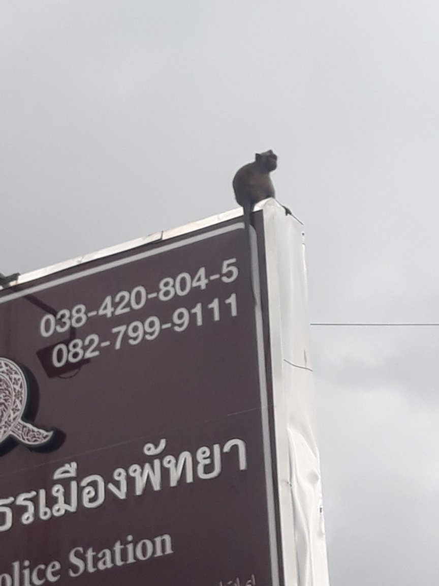 20200928_151451.jpg