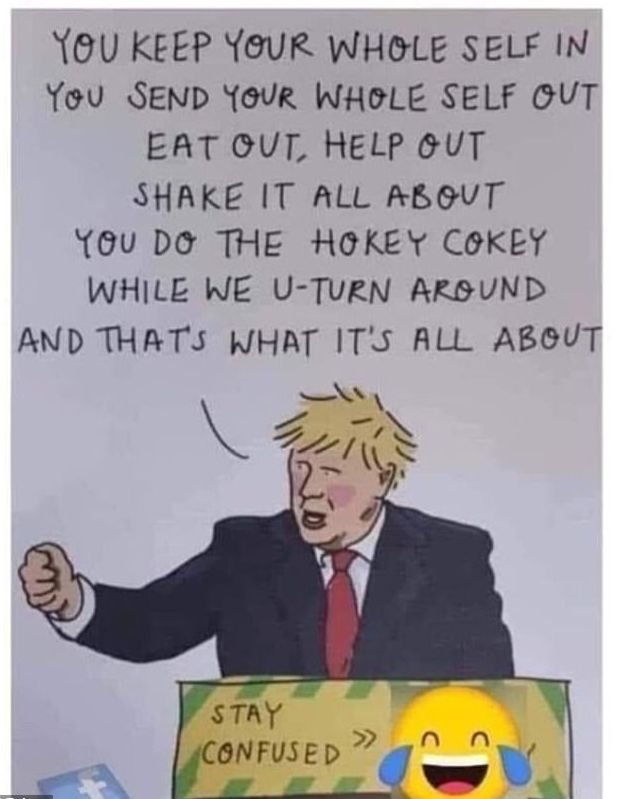 33494612-8761321-This_poster_shared_an_illustration_of_Boris_Johnson_with_the_cap-a-72_1600802414849.jpg.ef35b47bffface59f6867a7174aabd8b.jpg