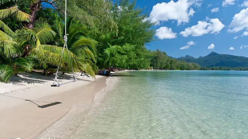 Screenshot_2020-09-02 paradise-in-koh-chang jpg (ภาพ WEBP, 800 × 450 พิกเซล).png