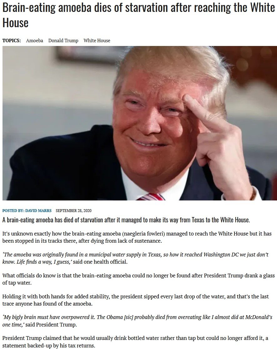 BrainEatingAmoeba.jpg.b13c5695258146316857ffda0498bb1c.jpg