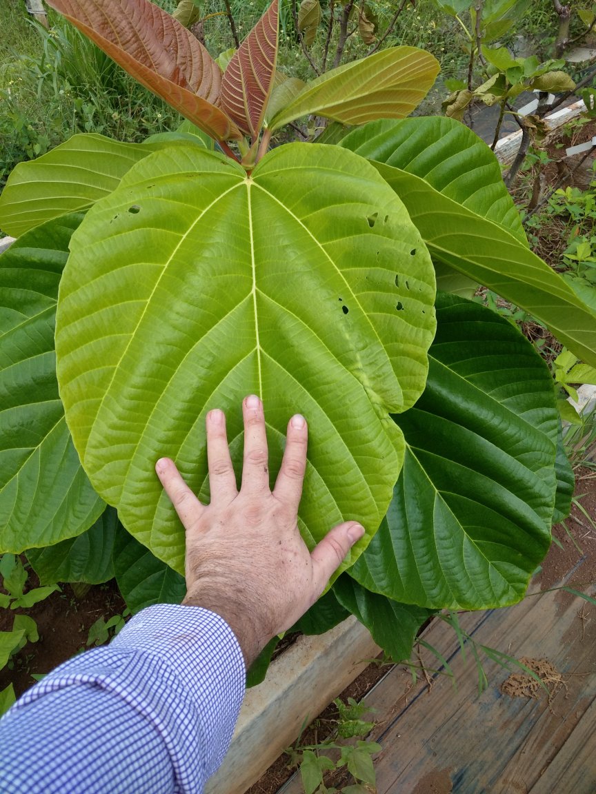 IMAG0773.jpg