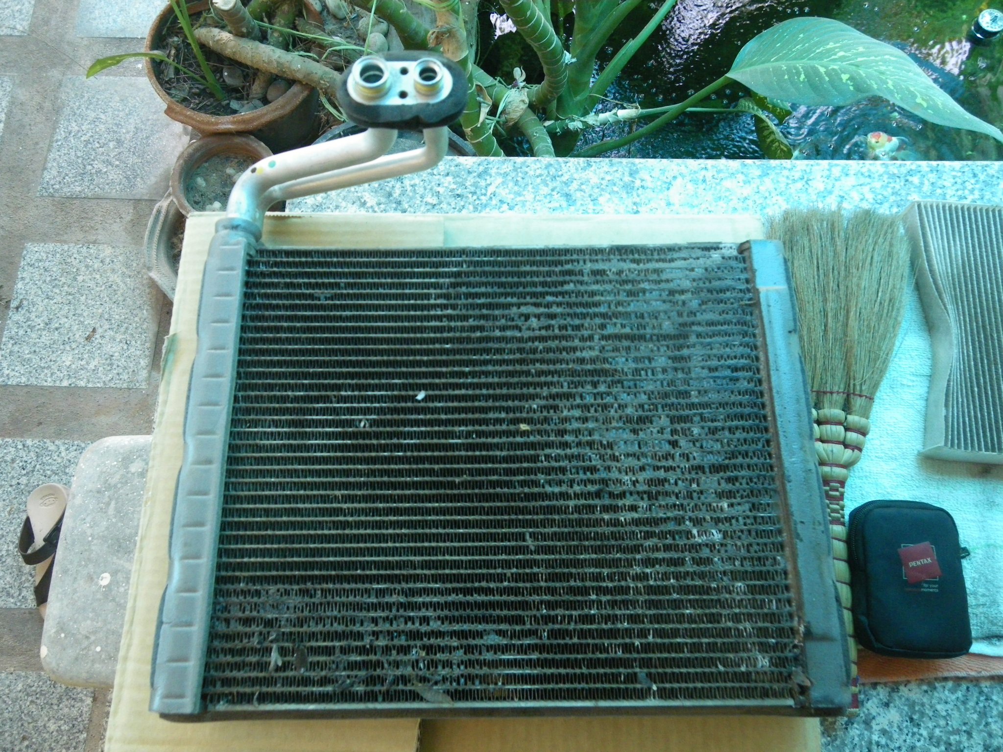 IMGP0015.JPG