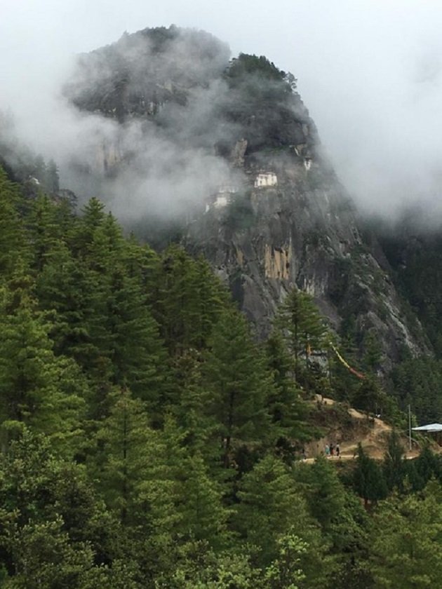 Misty-Tigers-Nest-1.jpeg