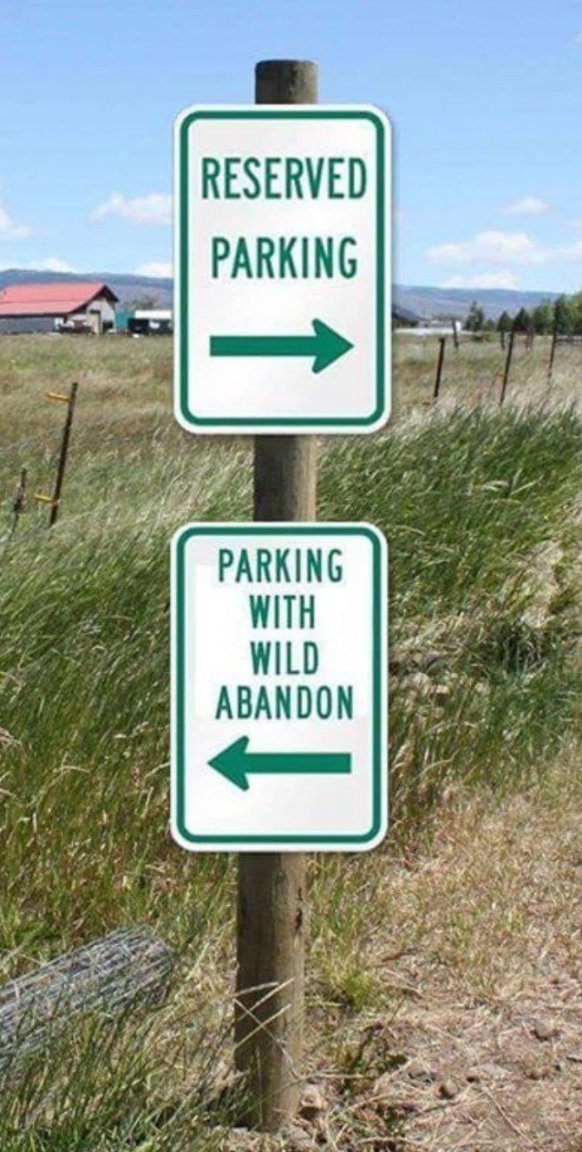 ParkingWild.thumb.jpg.3b6aa83303bcb579405981ce2cb313a9.jpg