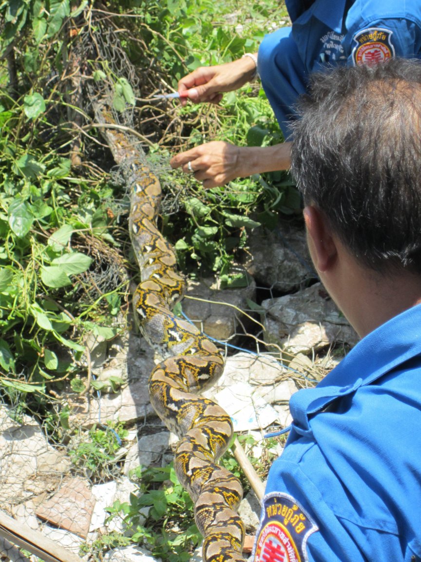 Python_mar1016.2.JPG