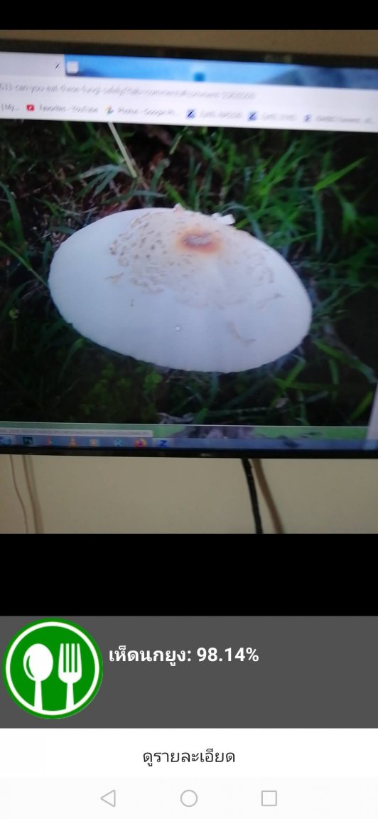 Screenshot_20200922_083951_net.thaimushroom.classify2.jpg