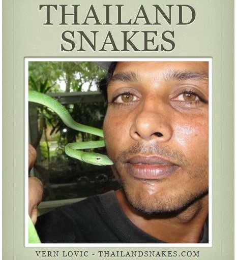 Snake.jpg.85d0f51ead6073faf4a608239dc1b213.jpg
