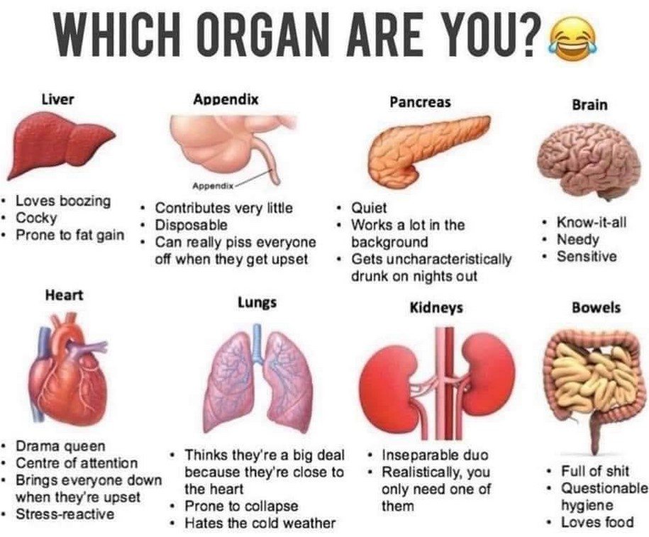 WhichOrgan.jpg.4220ffab8a493b84d35ee3d476a84b67.jpg