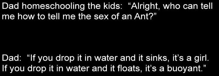 ant.jpg.3c4c5e58f2203bb234aa5bf53ad90f20.jpg