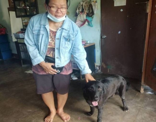 dog2.JPG