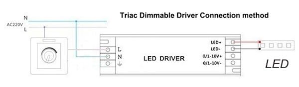 driver.jpg.161e38c19950e7b6f3084870f601bc91.jpg
