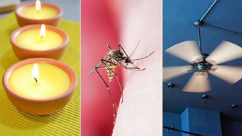 natural-ways-to-prevent-mosquito-bites-722x406-1.jpg