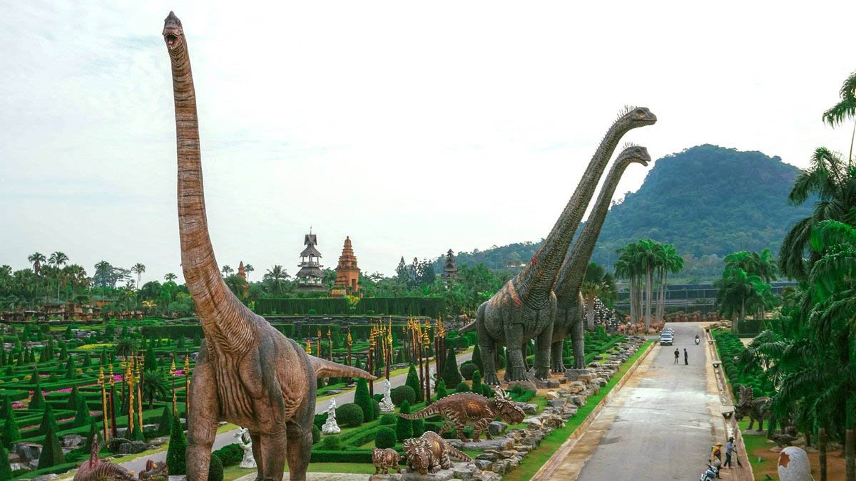 nong.jpg
