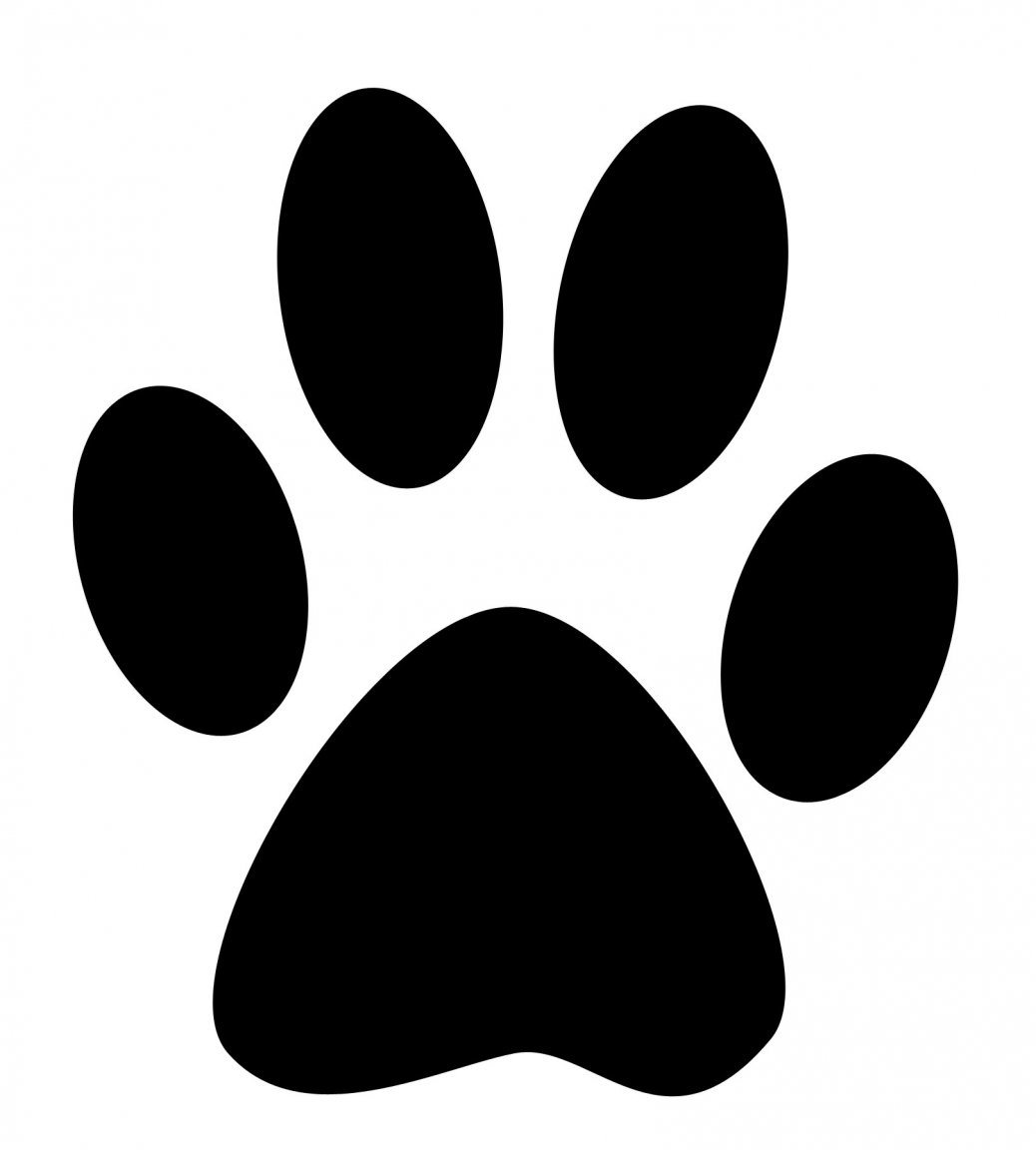 paw.thumb.jpg.7f4136f15dce35ed7ebe324e791fe095.jpg