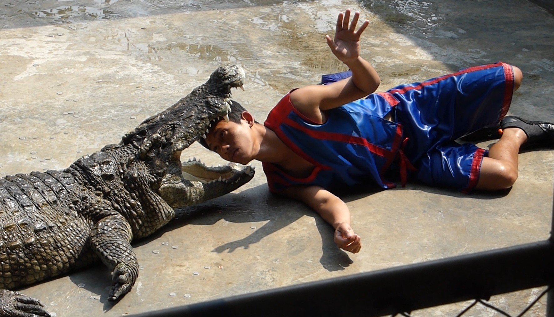 1402077083_headincroc2014.jpg.e04ffb0620eca5b44469f3273a104c10.jpg