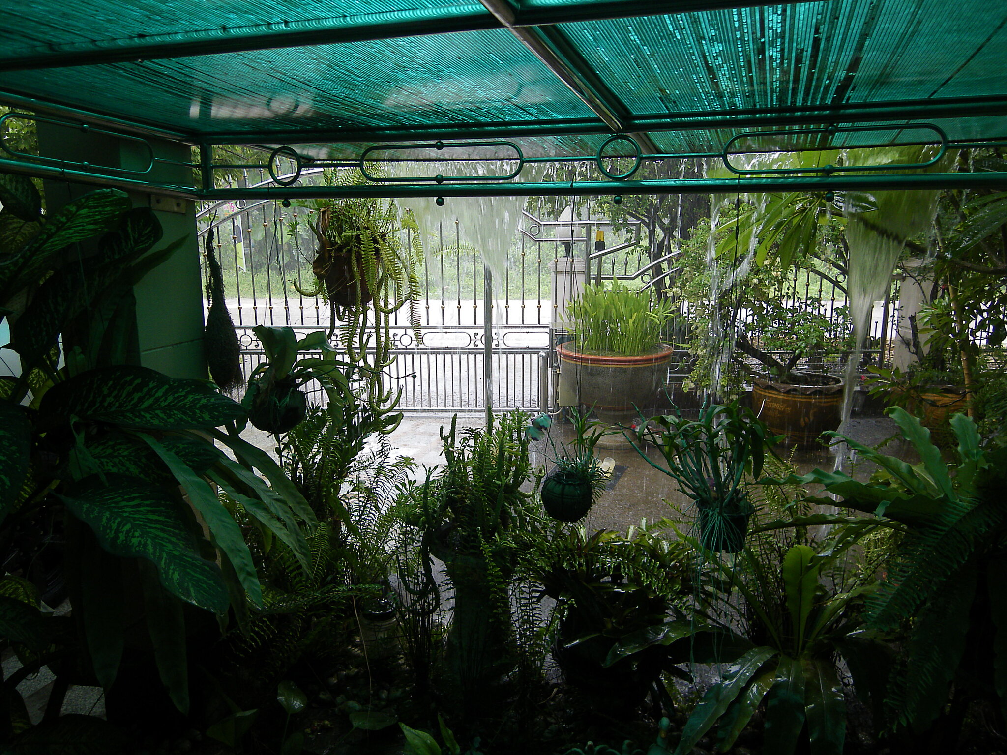 IMGP0013 (1).JPG