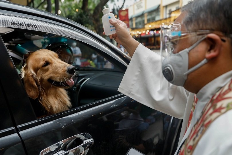 2020-10-04T134705Z_1_LYNXMPEG930GE_RTROPTP_4_HEALTH-CORONAVIRUS-PHILIPPINES-ANIMAL-DAY.JPG