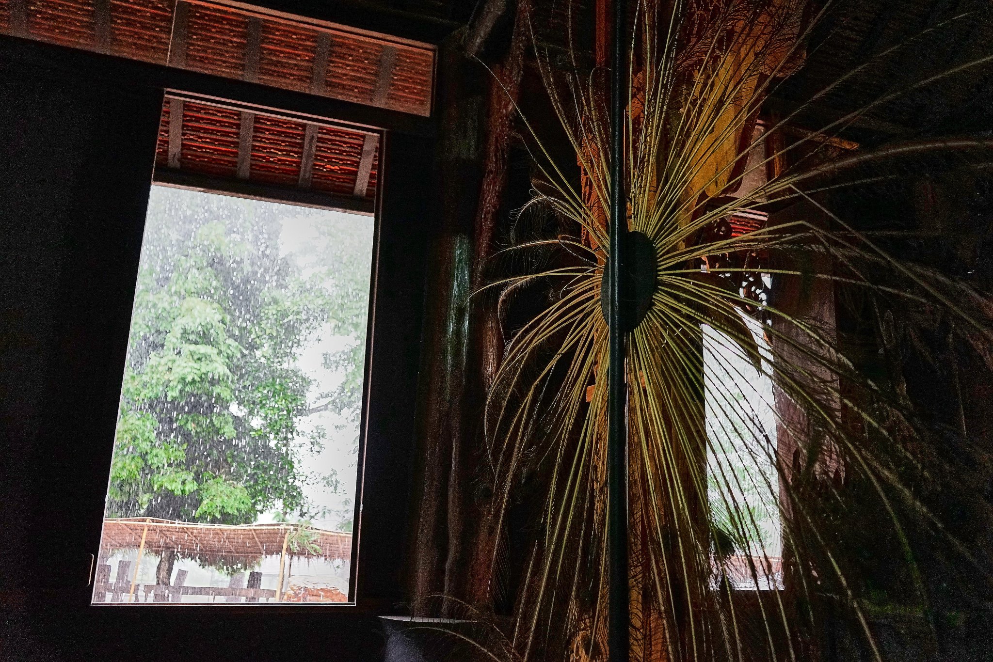 Black Museum, Chiang Rai.jpg