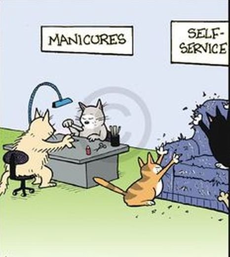 657951606_selfservice.jpg.6e28887d5679eca025c45066e559054c.jpg