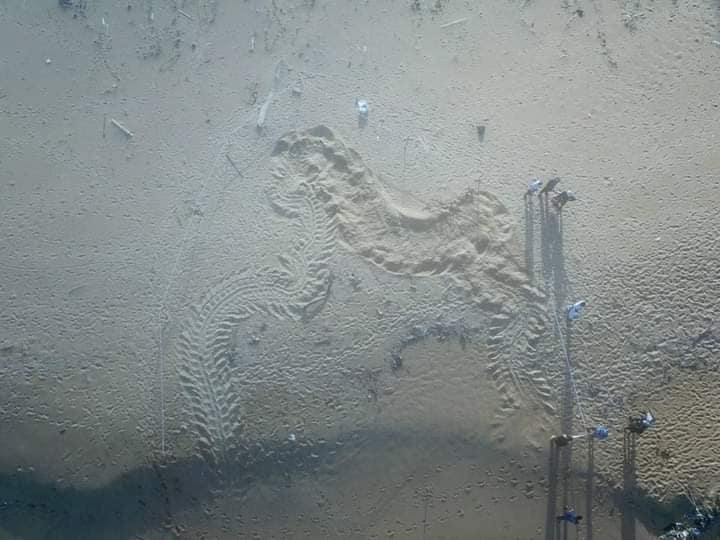 AE930ADF-5731-4351-A2D9-9D3AB84B022E.jpeg.abdf859295fe9430adefe357e2ba158a.jpeg