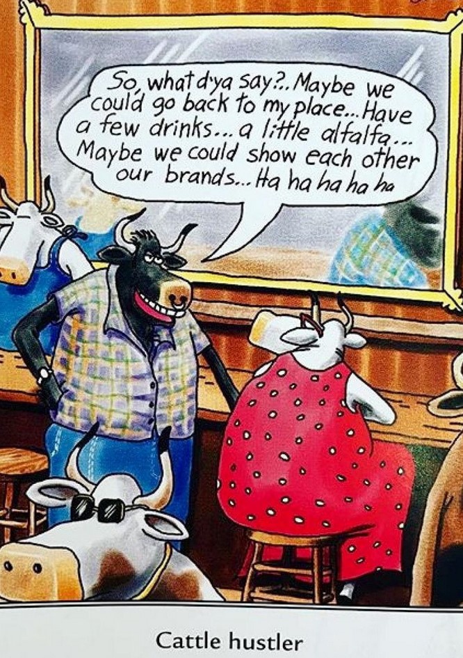 CattleHustler.jpg.1b316ff0e2f6f971411e596eb5a96df2.jpg