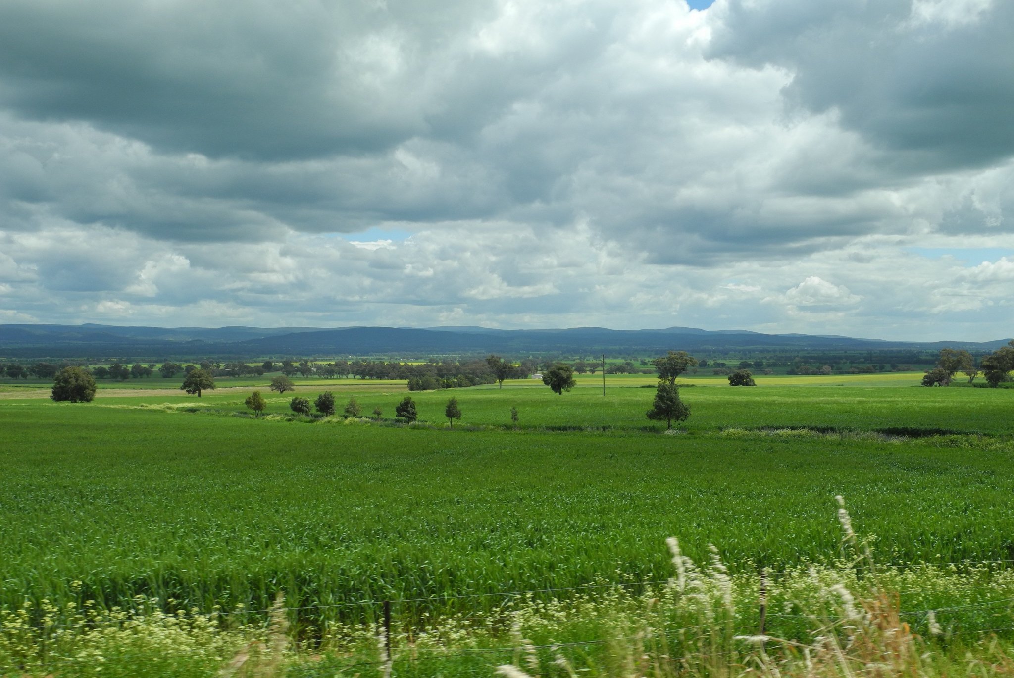 DSCN2736.JPG