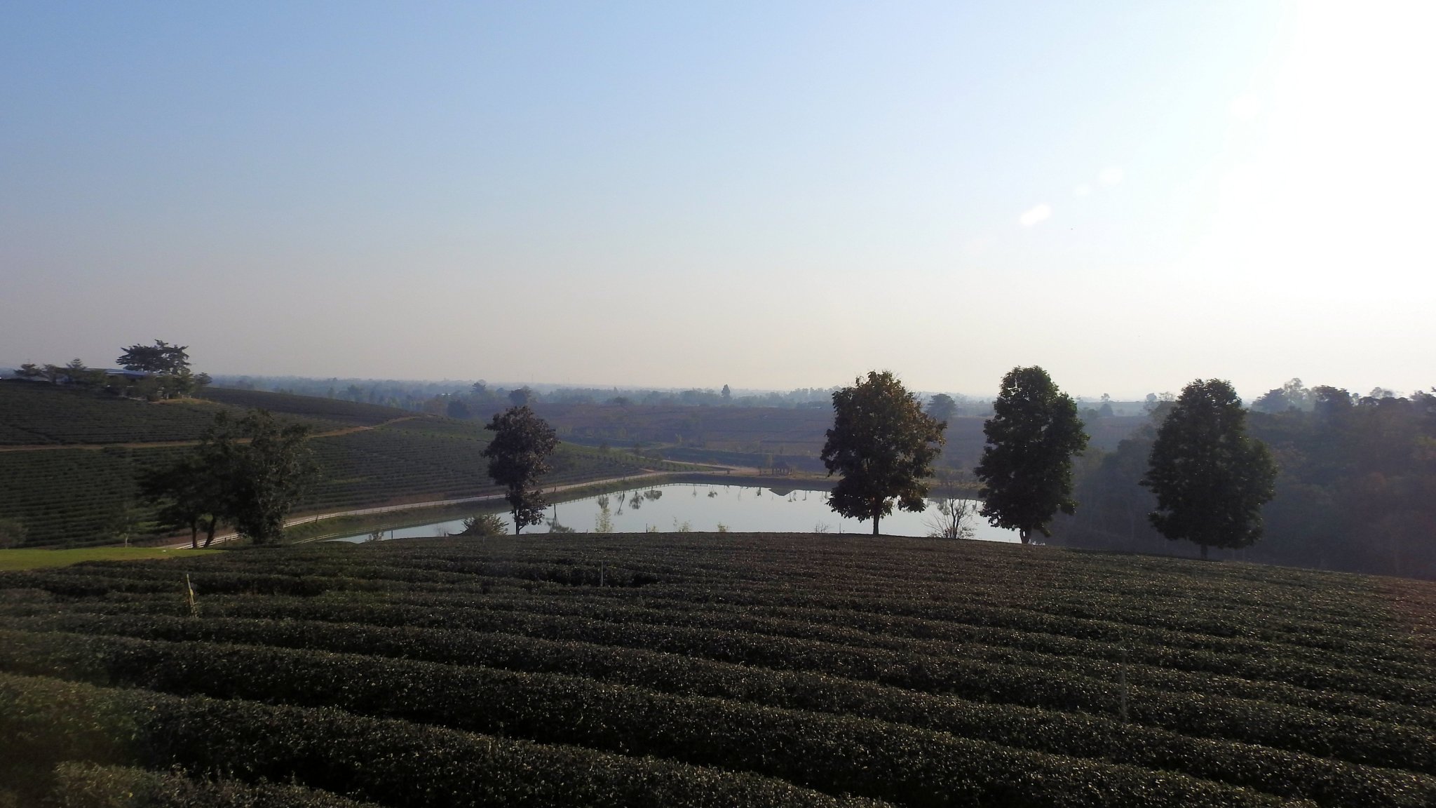 DSCN3997.JPG