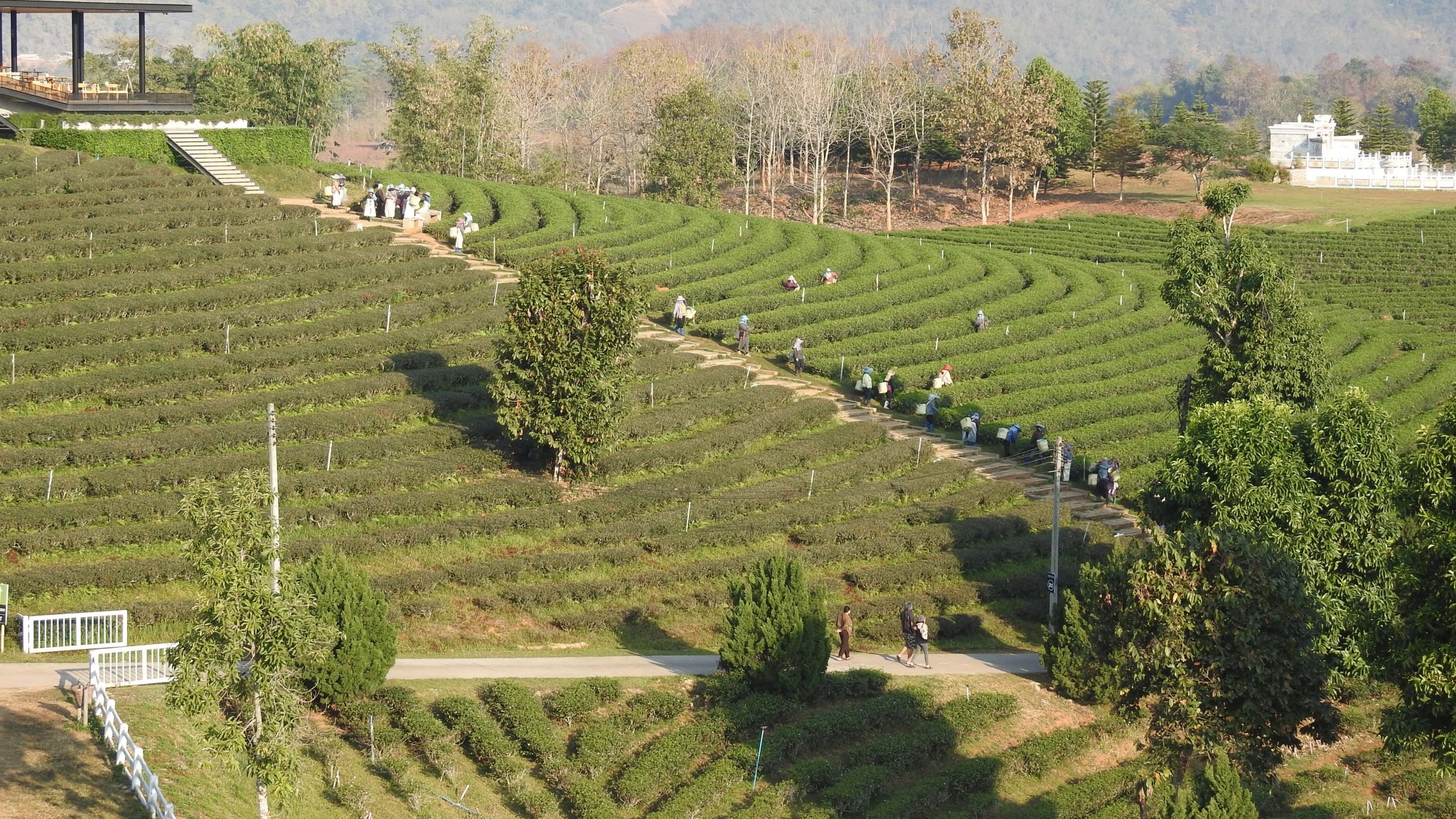 DSCN4000.JPG