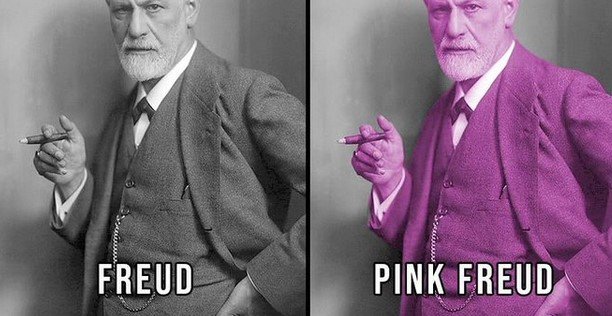 Freud_Pink.jpg.47456bc4dc98b32d02aade13b950d998.jpg