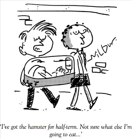 HalfTermHamster.jpg.4583e4e7c4ef8304433a993ae16d3e63.jpg