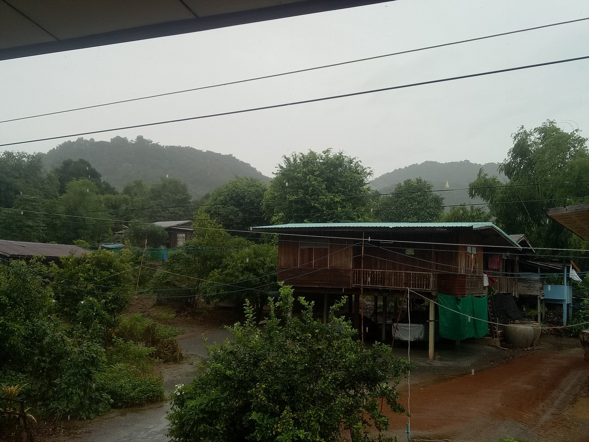 IMG20201018083045.jpg
