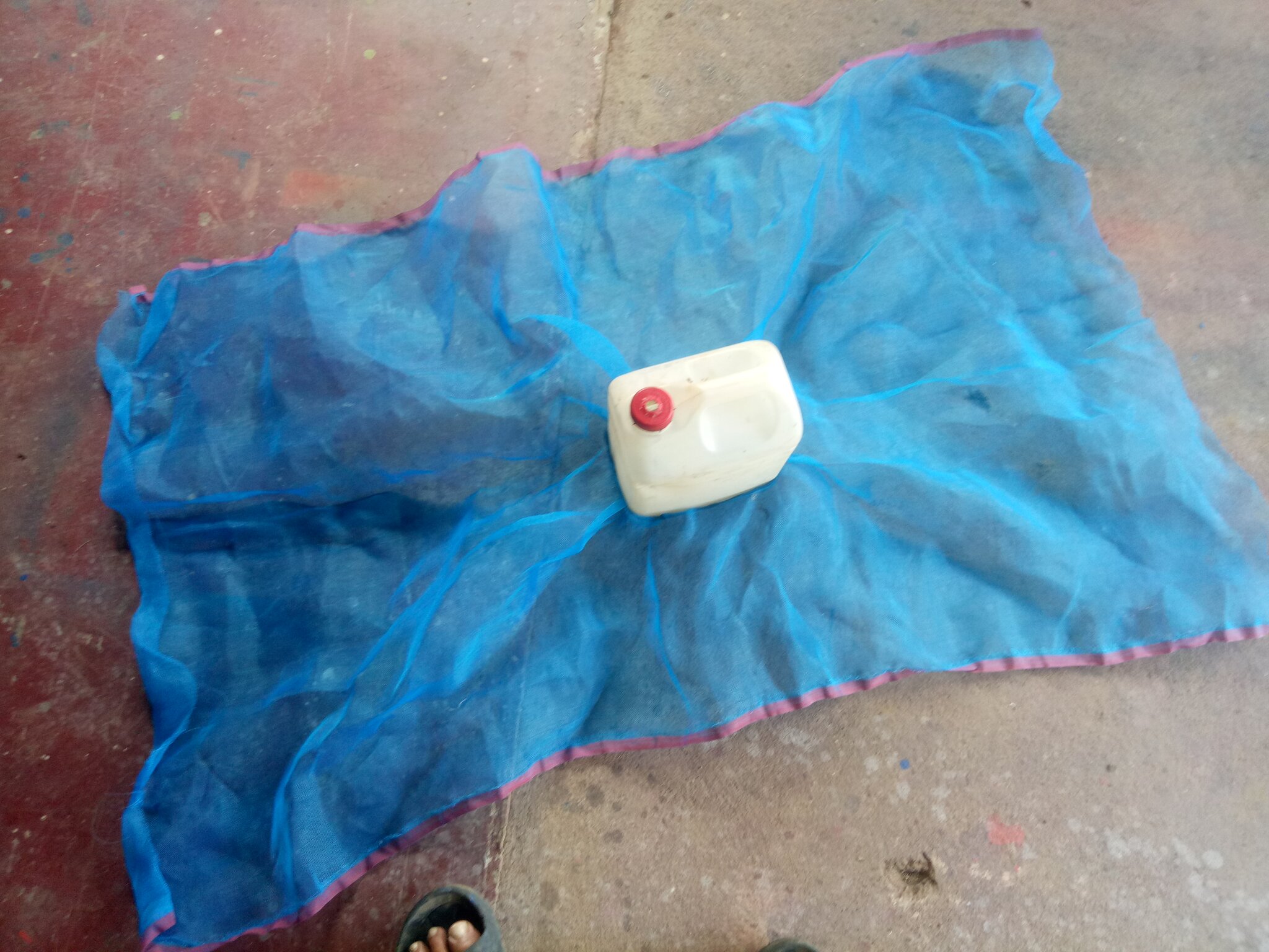 IMG20201031111601.jpg