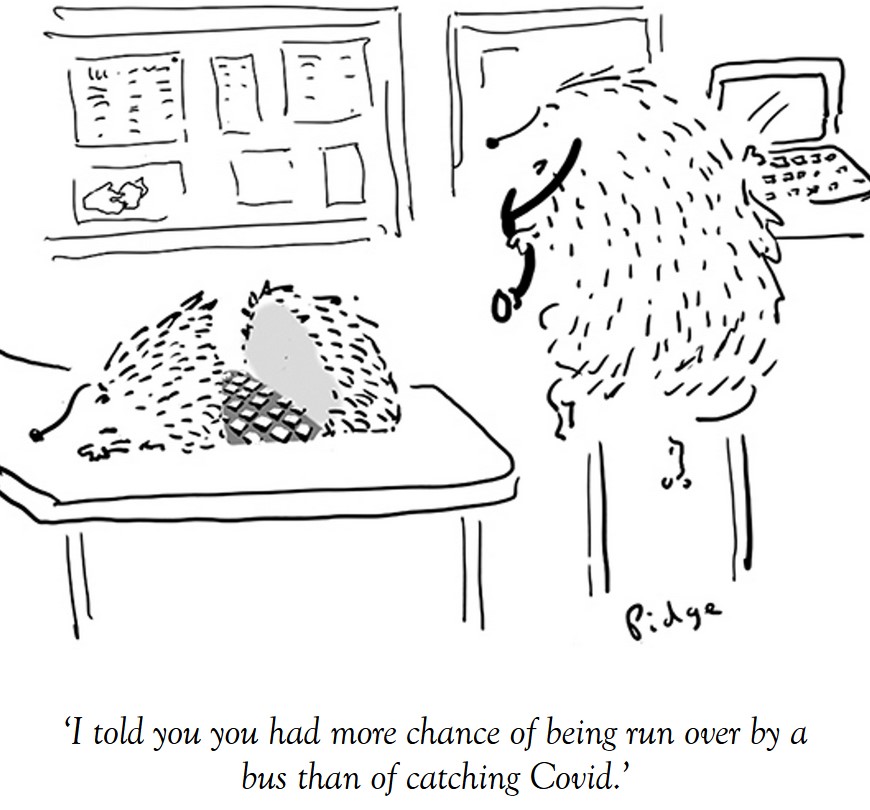 RunOverByABusVsCOVID.jpg.636896ced64884b1b60ab2cb54a32f8b.jpg
