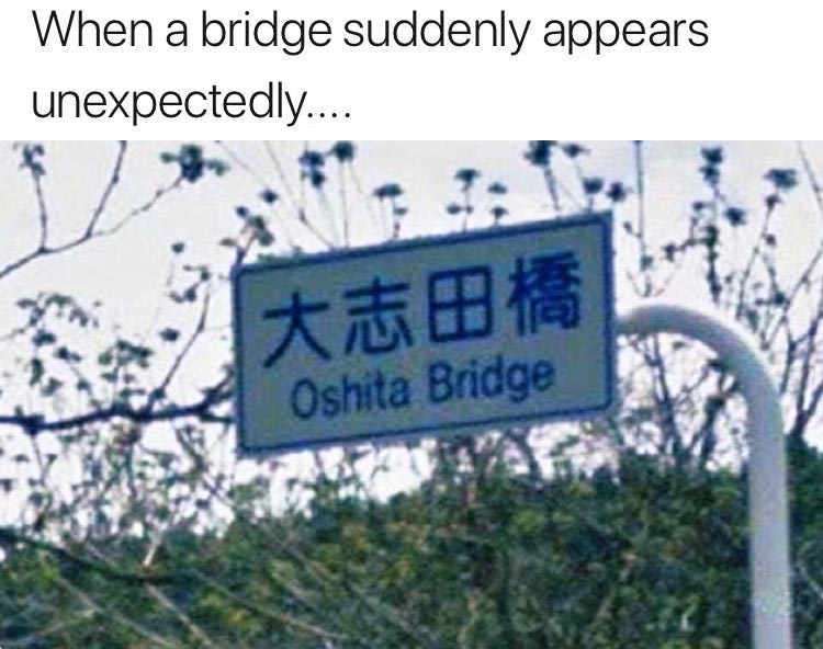 bridge.jpg.ef219011c10b0d88675a066523eeaebb.jpg