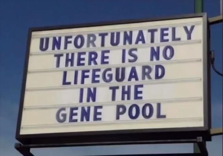 genepool.jpg.4ecbafd2518eece580599b4fc969c87a.jpg