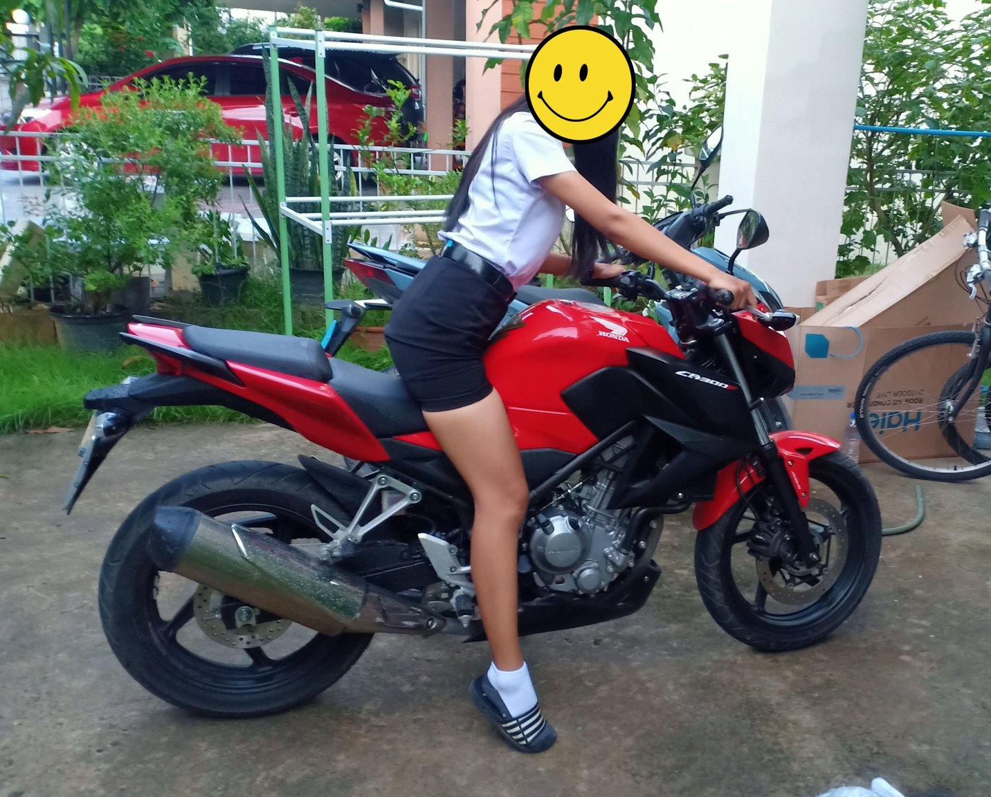 honda.jpg