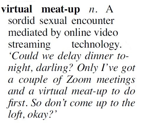 virtual_meatup.jpg.f8294effdc5035fc4d2b320abbd1d27f.jpg