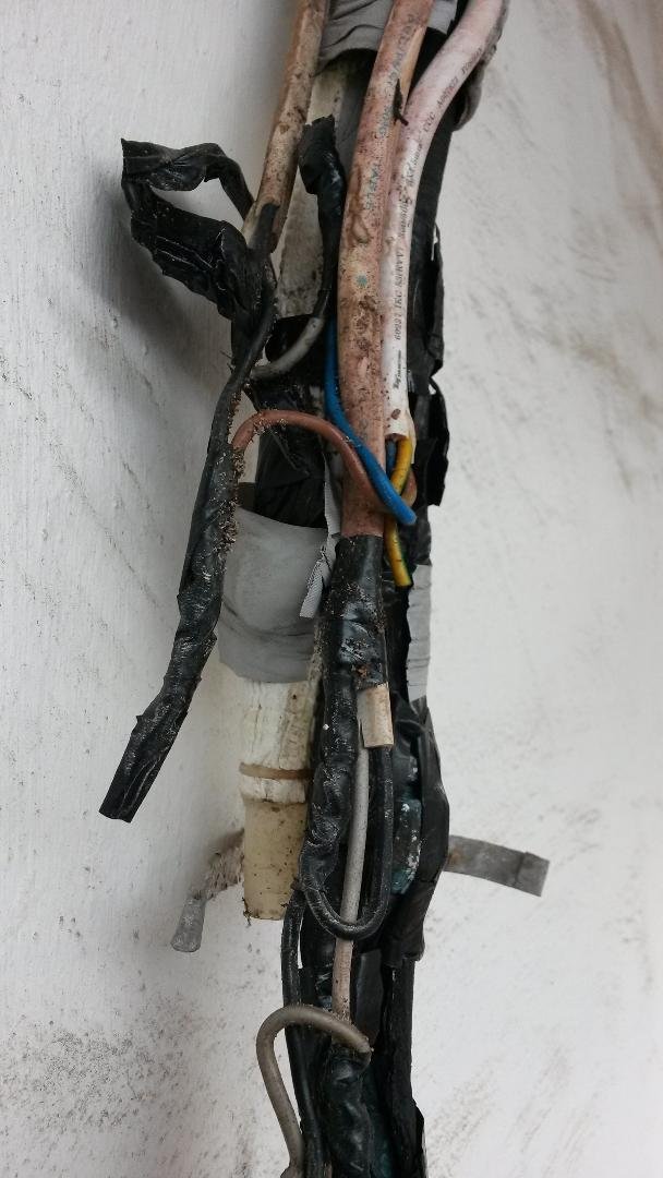 wire.jpg.6d1c4212aff342db0bc3e1ddb04836ff.jpg