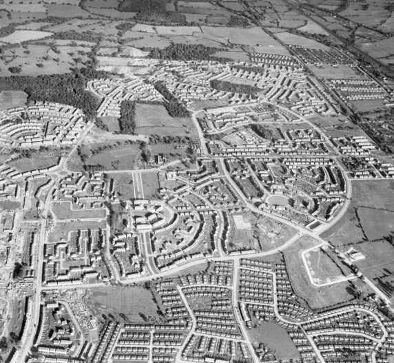 1148902078_HaroldHill-1951.png.b1ce350a2fe9630ce93e0441a1a59b84.png
