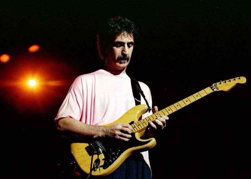 2020-11-25T213852Z_1_LYNXMPEGAO1PH_RTROPTP_4_FILM-ZAPPA.JPG