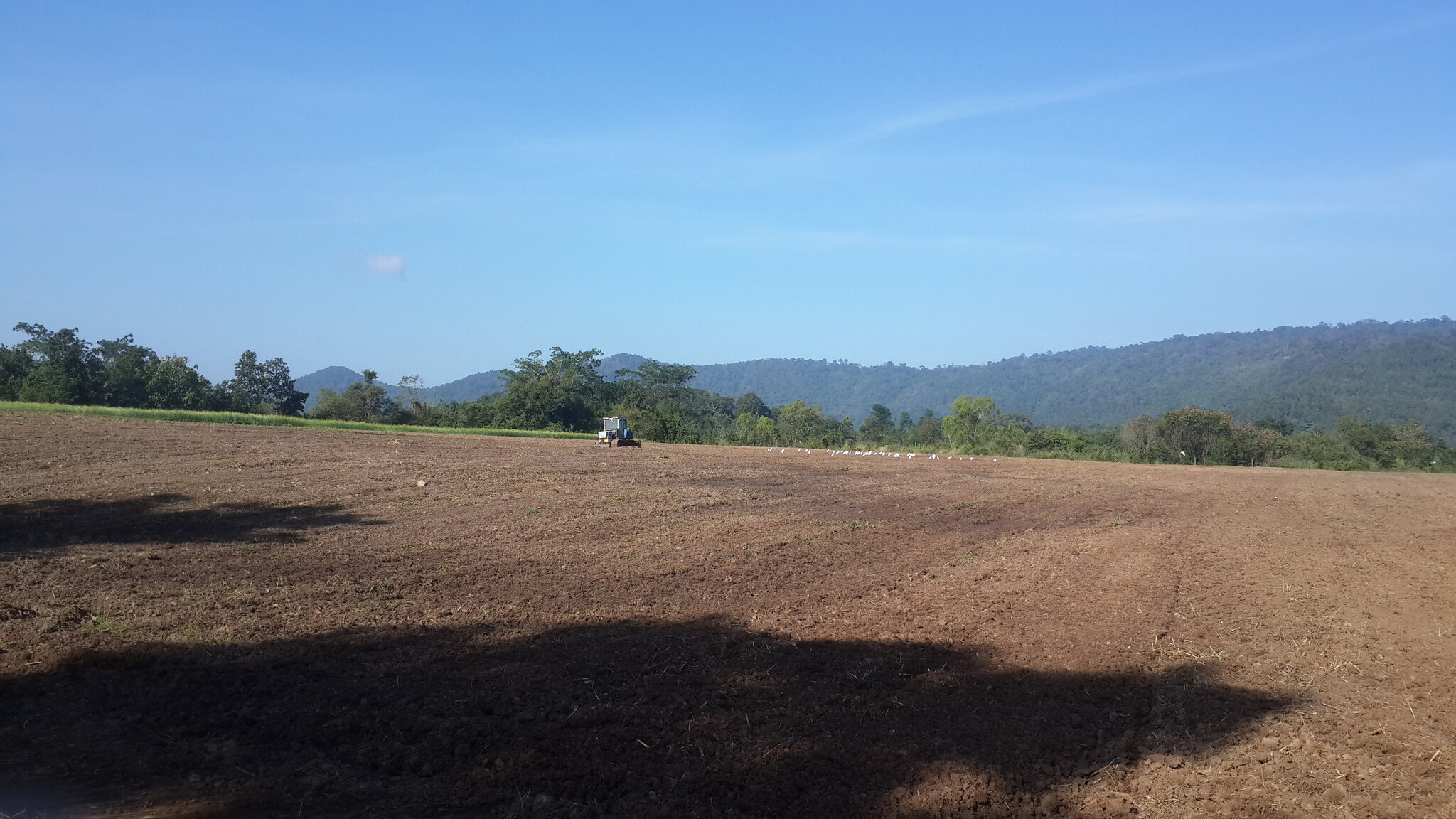 20201106_081557.jpg
