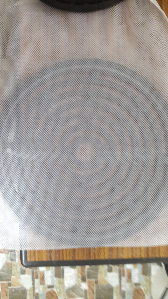 20201112_155348.jpg