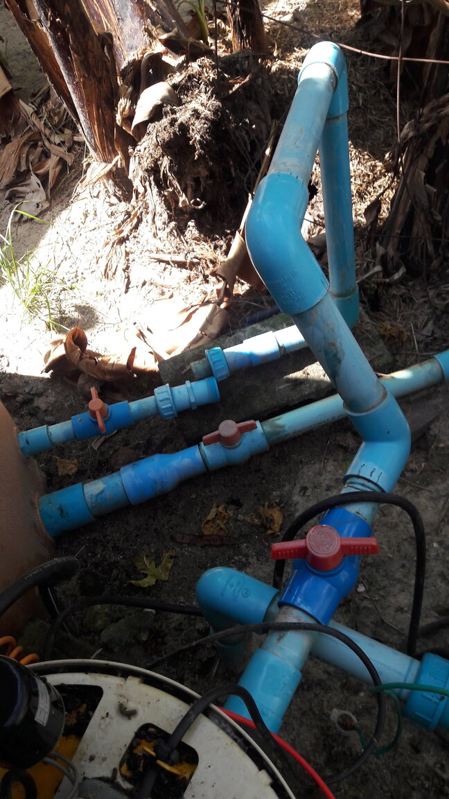 20201114_124517.jpg