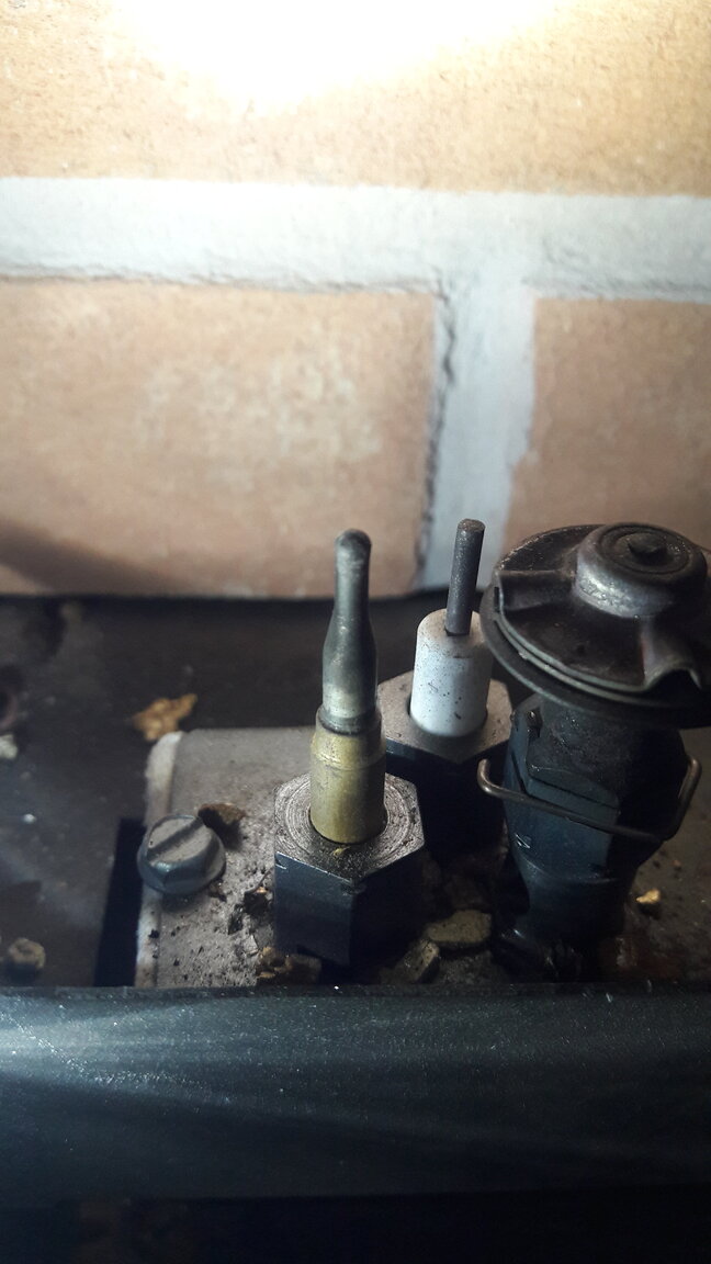 20201115_074423.jpg